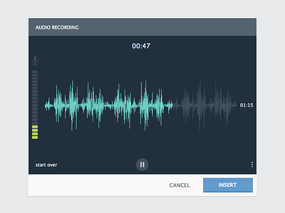 Audio Recorder / Player