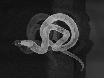snake black white grey illustration illustrator noise photoshop snake wind