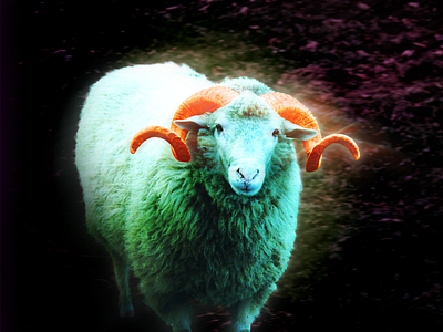 Lamb animation dark photo dark theme design effect film film photo filter filter photo illustration motion blur noise photographer photoshop retouch retouch film retouch photo retouch photoshop retouchfilm retouchphoto