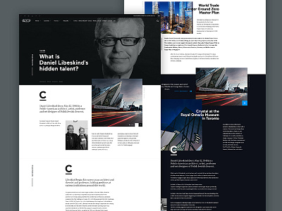 Vice Article Subpage article jakobsze minimalistic page subpage touchdesign typography ui ux website