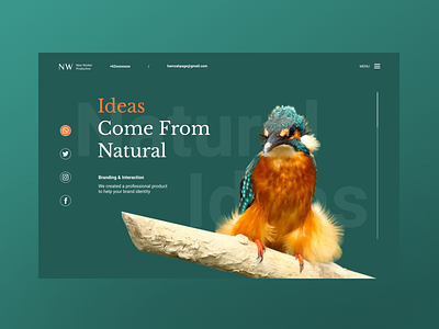 New Worker Website UI agencywebsite app bird branding companywebsite design elegant green natural personalbranding ui uiux uiwebsite ux
