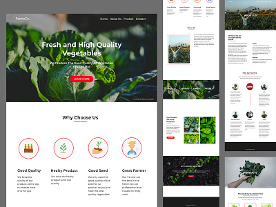 tampanfarmers ui design ui ux web