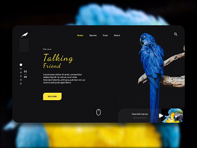 Parrot Website app design logo typography ui ux web website