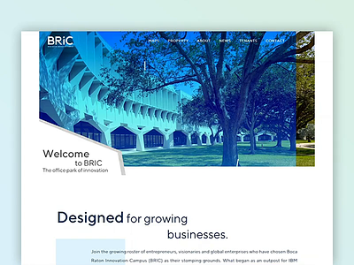 BRIC Website