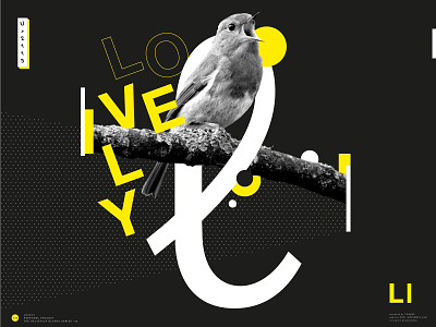Helvetica Glyphs Studies - Lovely animal bird collage design experiment glyphs grafik graphic design helvetica iampommes kollage liebe love lovely pommes poster retro typo typography vintage