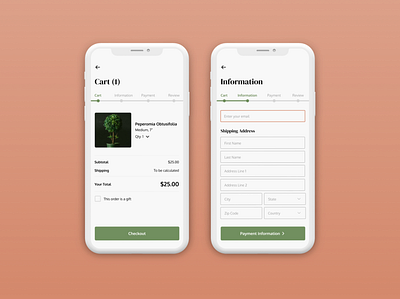 Plant Shop Checkout app checkout dailyui dailyui002 green plant plants terracotta ui ux