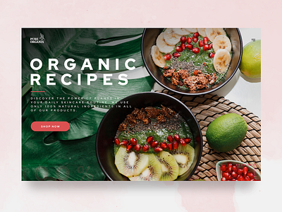 Organic recipes homepage design