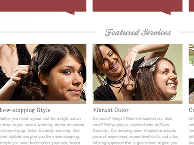 Salon Dexterity Website design dexterity grey hair red salon website white