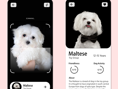 Dog Identification app dogapp maltese scan scannerapp