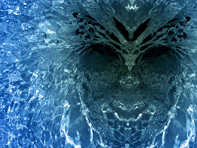 Waterface (2008) digital face illustration image photo water