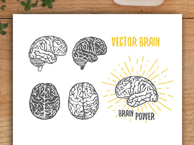 Brain black brain dobrograph head mind power vector white