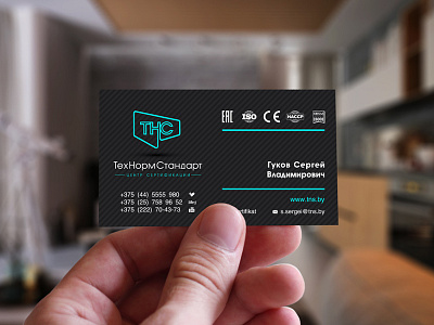 ТНС business card logo logotype tns