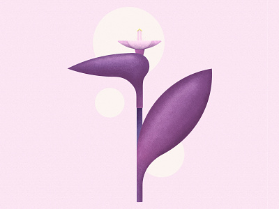 Begonia begonia draw flower geometric design illustration illustrator nature illustration purple gradient vector vector illustration