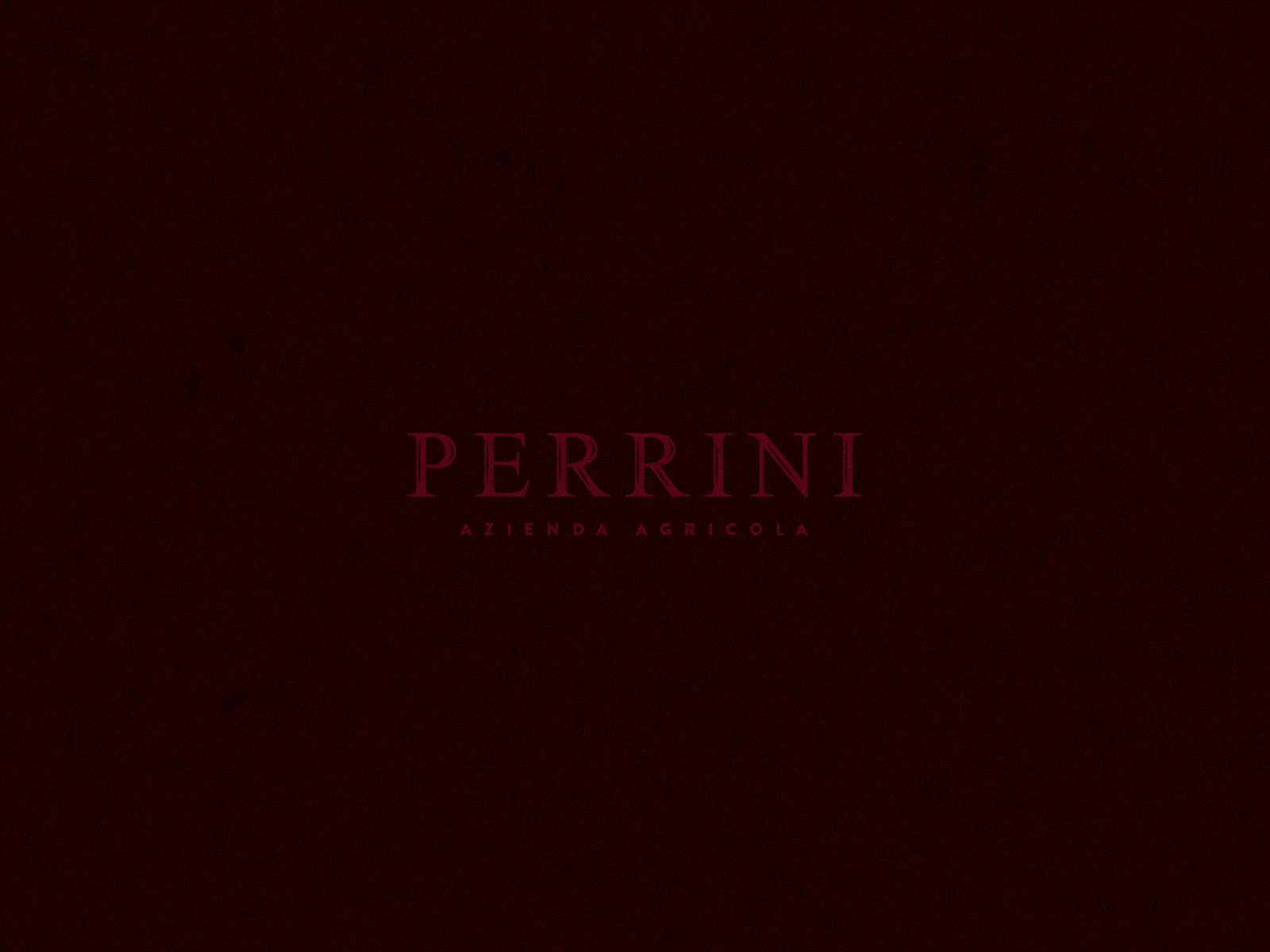 Perrini | Visual identity adobe artwork branding branding design design graphic logo logodesign minimal photography vector visual visual identity