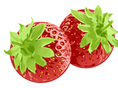Strawberries illustration strawberry