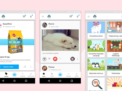 DogJuan new version android app design dogs material materialdesign mobile mockup pets ui ux