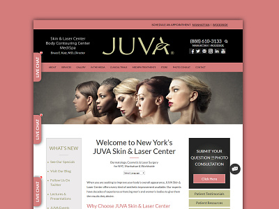 Juva_Skin template website design