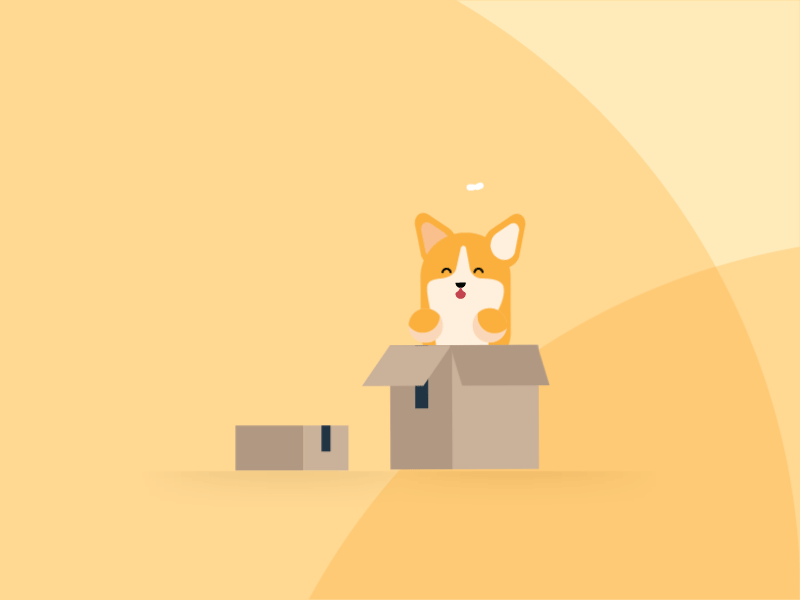Amazon Corgi Animation after effect amazon box corgi cute dog illustrator motion 2 motion graphics packaging vector