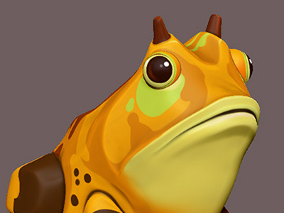 Amazon Frog Concept Color