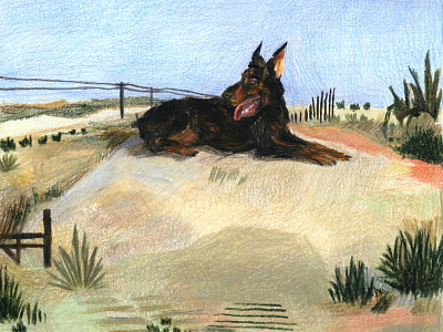 In Paris, Texas doberman illustration