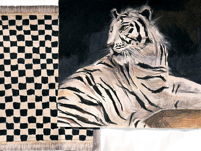 Siberian tiger animal black pencils tiger tigers white tiger wild