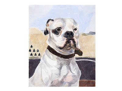 Bulldog bulldog bulldogs colors drawing pencils sand white