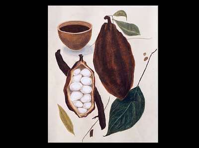 Cacao beans brown cacao cacao beans chocolate illustration pencils plants