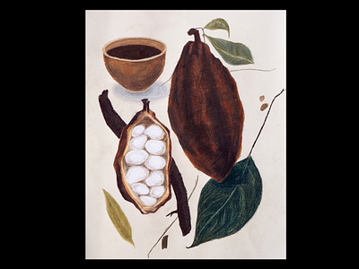 Cacao