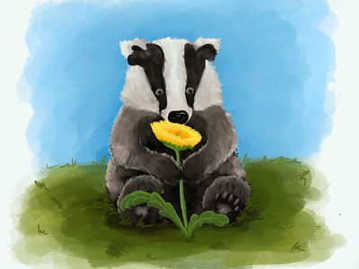 cute badger drawing