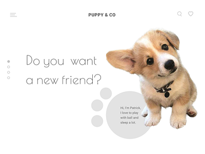 Corgi website design flat minimal ui ux web webdesign website