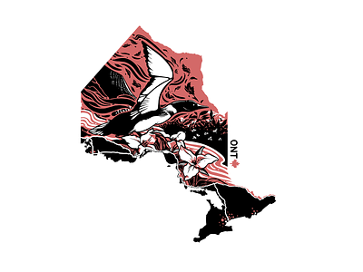 Province Project - Ontario digital illustration illustration map art map design map illustration procreate