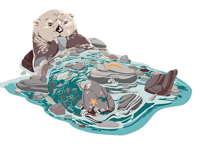 Coastal Creatures: Otter