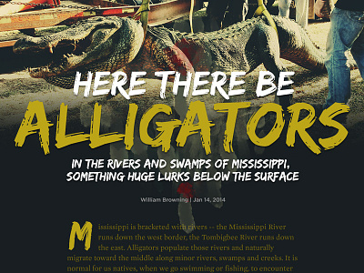 Here There Be Alligators alligators article editorial design layout longform responsive sb nation typography vox media