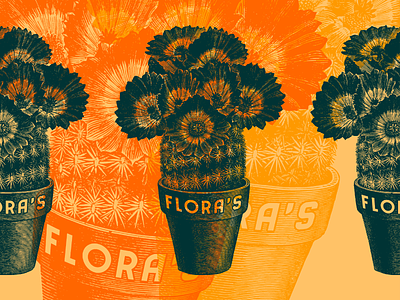 Flora's arizona cactus desert floras flower sonoran tucson
