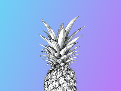 My Ananas ananas branding fruit gradient icon illustration logo purple web