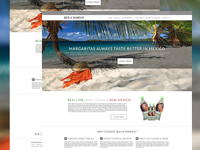 Tequila Sales Website e commerce margarita responsive square tequila wordpress