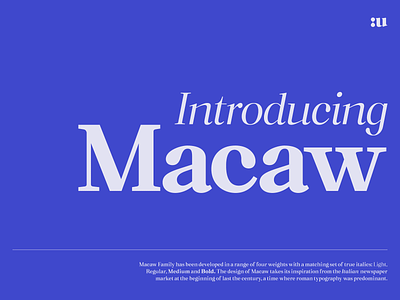 Macaw - Serif Typeface corporate