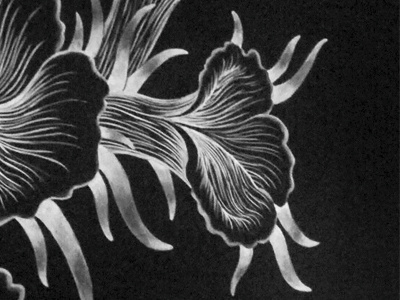 Narcissust Arrangement chalk chalk art flowers illustration