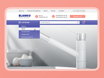 Home page of the store of faucets and sinks for the kitchen