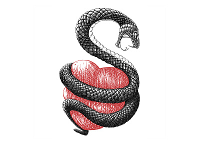 Snake animal black boyfriend comic couples girlfriend hate heart illustration ink love partner red relationship romantic serpent snake tattoo valentines valentines day
