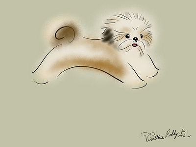 Shih tzu AK Rio dog graphic design illustration minimalism pet pets procreate shih tzu
