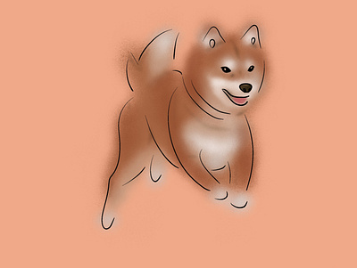 Shiba Inu dog dogs graphic design illustration pet pets procreate shiba inu