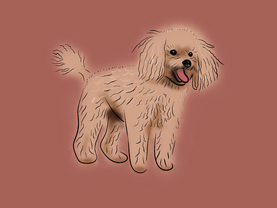 Poodle dog graphic design illustration pet pets poodle procreate