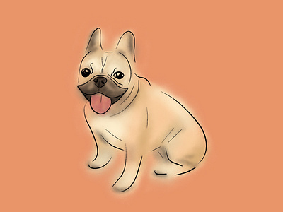 French bulldog