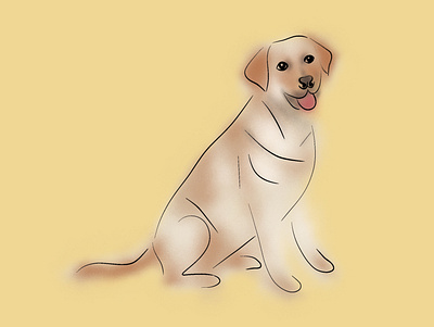 Golden Retriever dog golden retriever graphic design illustration pet pets procreate