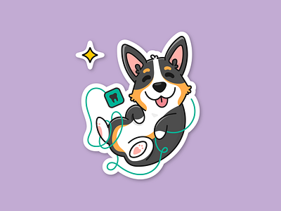 Corgi with Floss