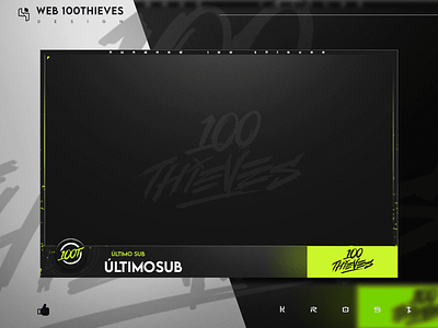 webcam 100thieves 100thieves design