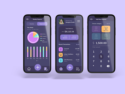 Money management mobile application concept