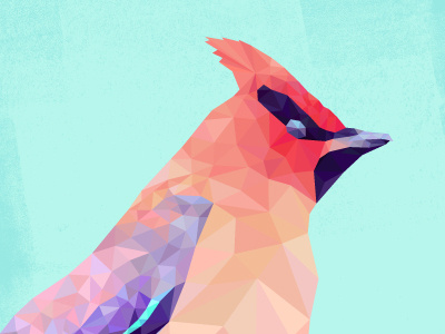 WAX WING animal bird bright colour geometric illustration illustrator triangles vector