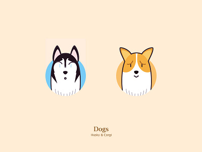 Dogs corgi dogs husky simple